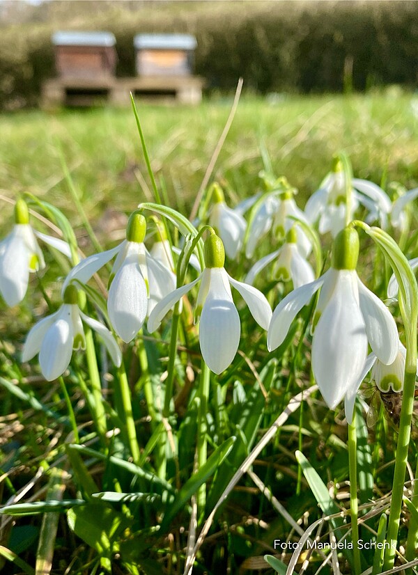 Lern-Programm der LAB 2026 startet