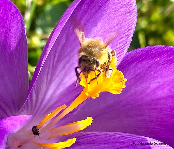 Lern-Programm der LAB für 2026 