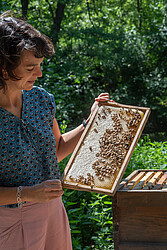 © Uni Hohenheim Landeasanstalt für Bienenkunde Frau mit Bienenwabe