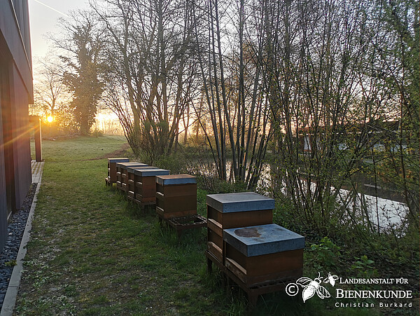 EUROBEE in Friedrichshafen