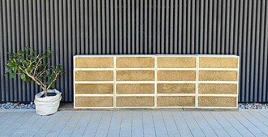 Eine künstliche Steilwand an der Landesanstalt für Bienenkunde bietet einigen Bienenarten einen geeigneten Nistplatz.