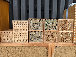 Eine typische Nisthilfe an der Landesanstalt für Bienenkunde, das bereits von vielen unterschiedlichen Wildbienenarten besiedelt ist.