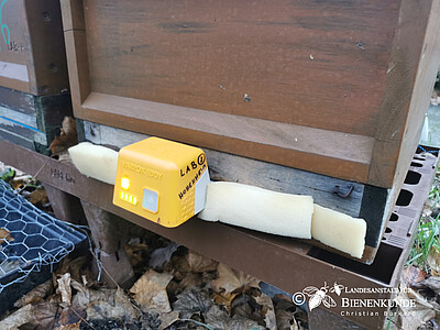 Bienen Winterbehandlung: Oxalsäure sublimieren