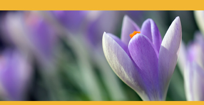 April: Imkertage in Baden & Württemberg 